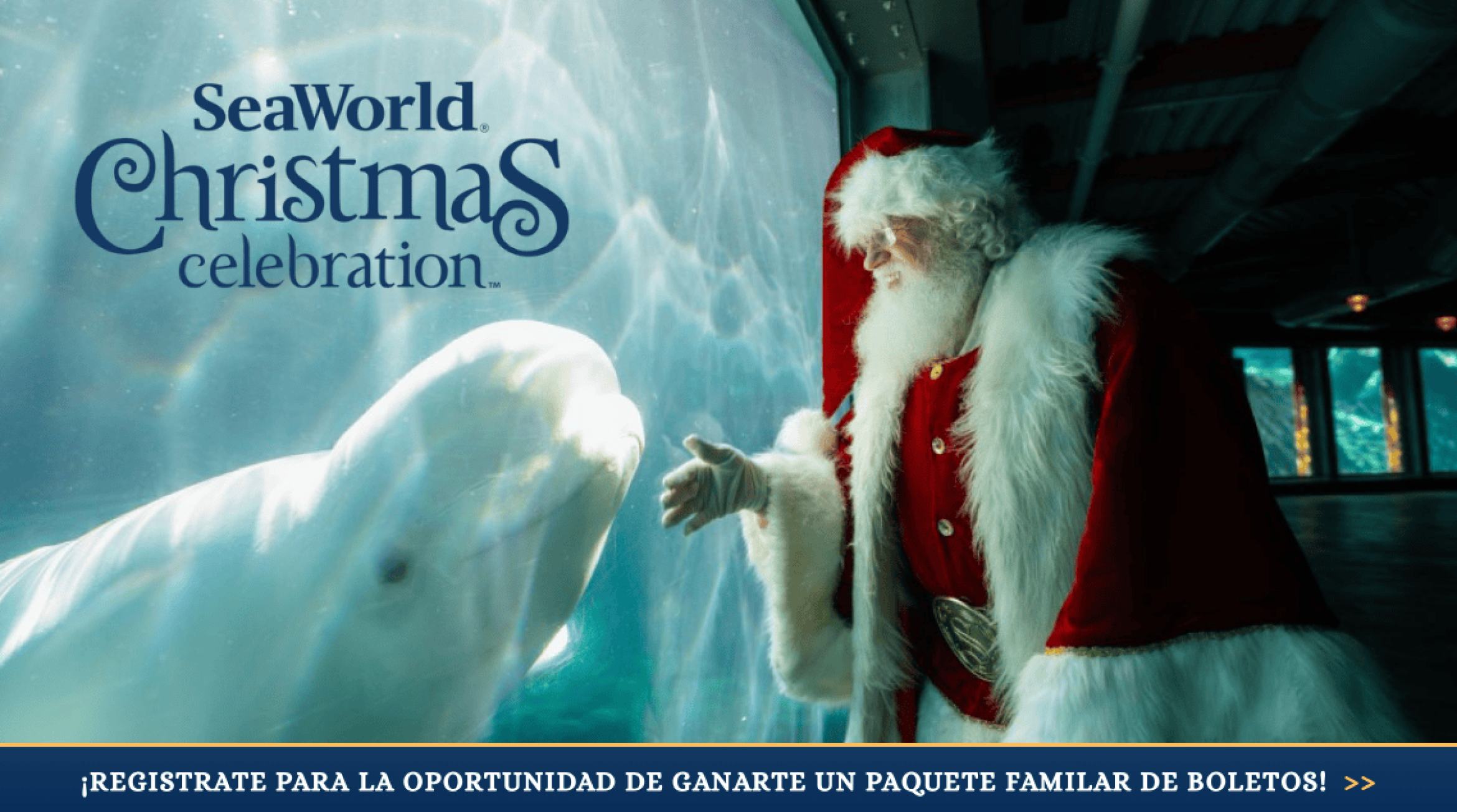 Promo Seaworld Christmas 2026 SP