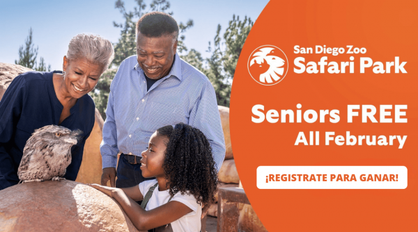 Promo SDZSP Seniors 2026 SP