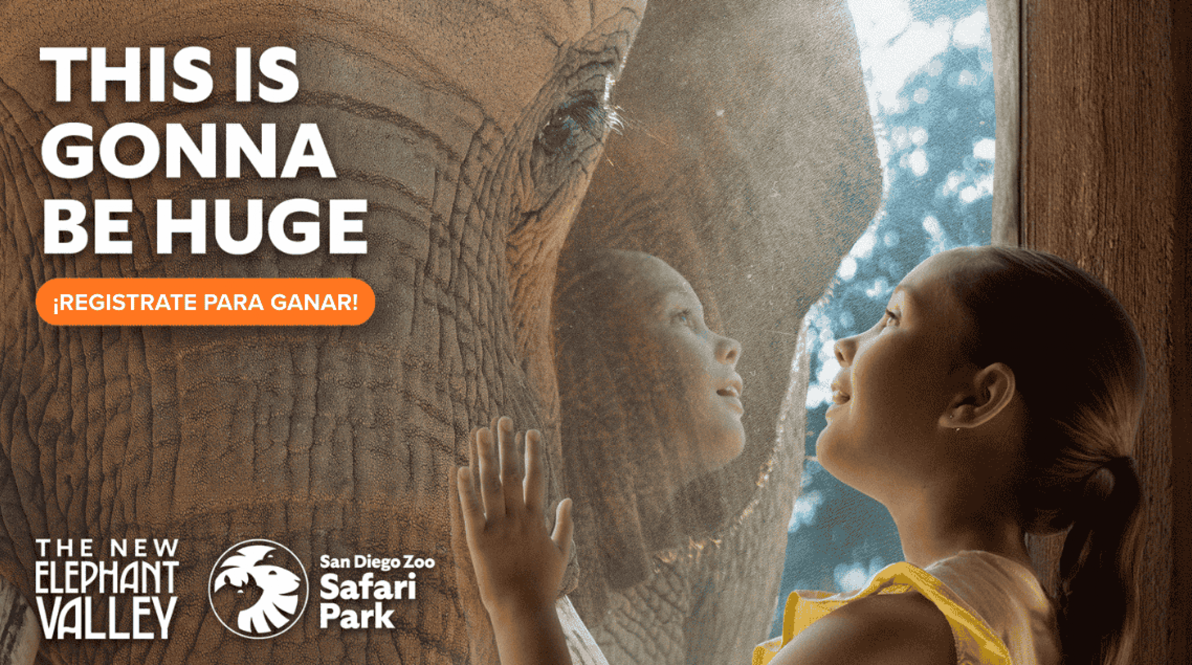 Promo SDZSP ElephantValley KCEL